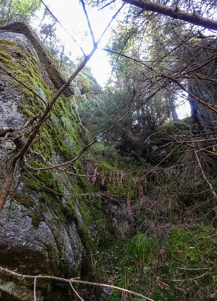 Bushing i nordmarka kan være skikkelig gøy når man kommer over svære skrenter med steinblokker man må klyve seg opp i mellom. Her på vei opp til Vangshaugen. 