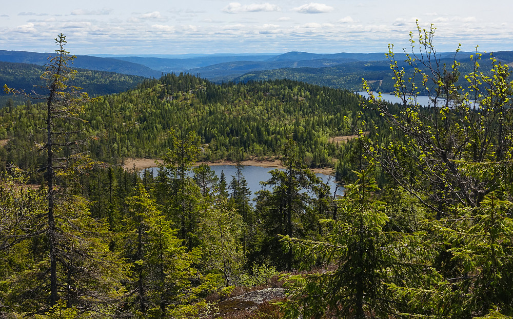 Utsikt fra et lite steinfremspring rett oppunder Kollern. Gudbrandstjernet rett fram, og Gjerdingen bak til høyre.