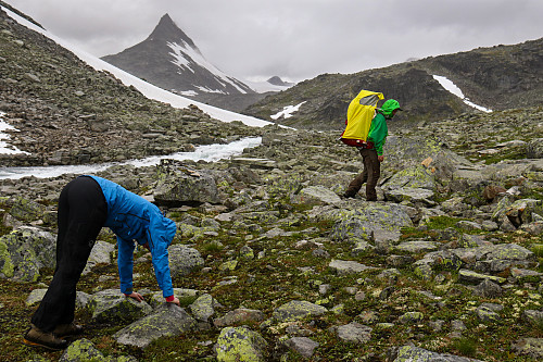 Sovetur i bæremeis. Kusine benytter anledningen til å få gravidemagen litt vekk fra hoftene.
