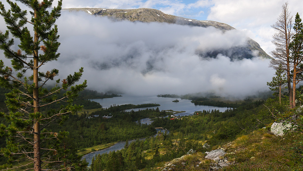 Fra stigningen opp langs Tverrelva. De grå takene på venstresiden av elva der nede hører til Reindalseter.