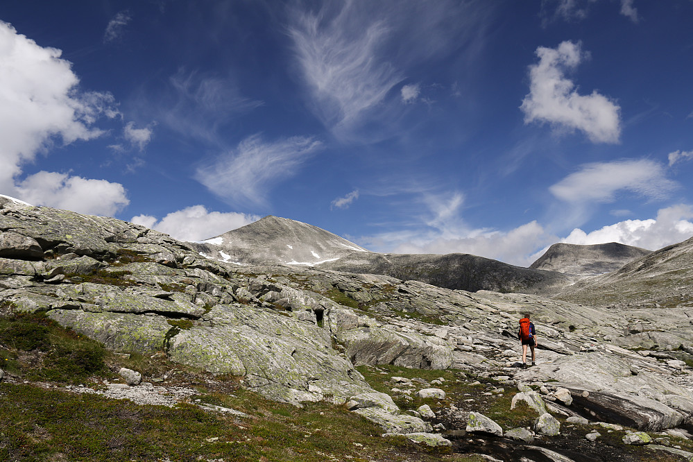 Akkurat her svinger stien nordover og fortsetter videre på østsiden av Småkoppegga opp til Storløypfjellet.