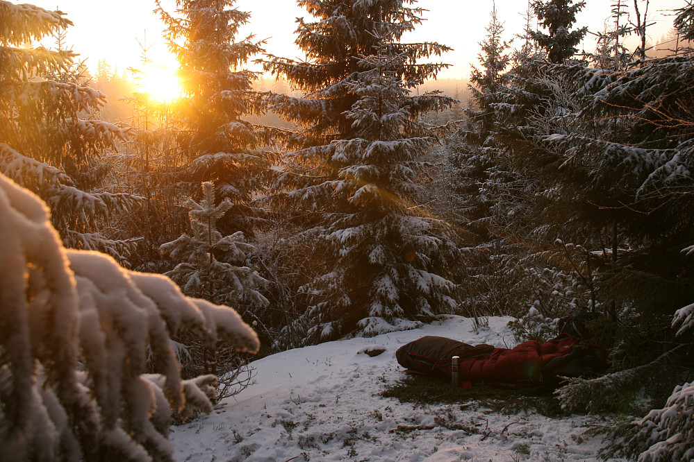 Morgensol i skogen vest for Sinober.