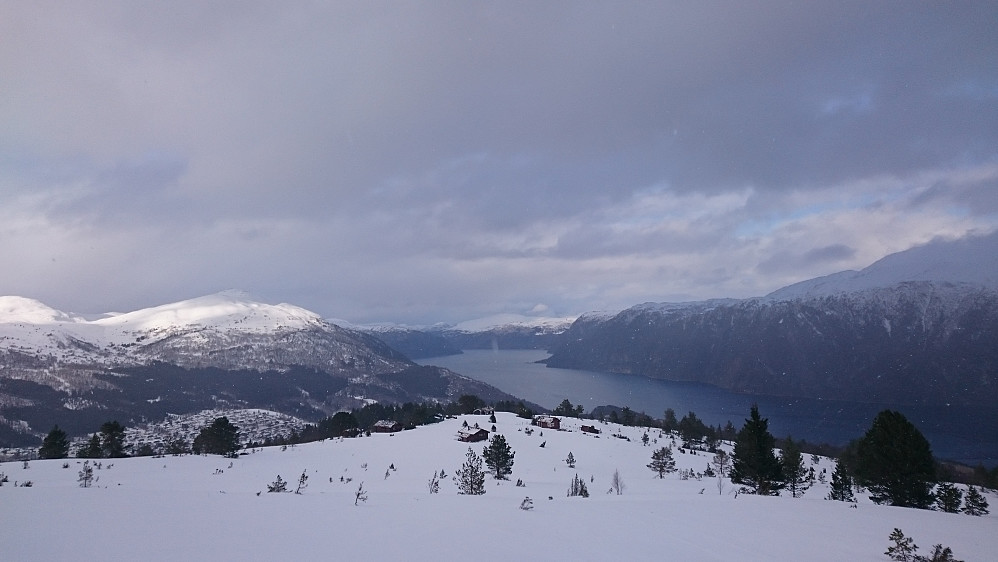 Utsikt mot Heimerhaugane i forgrunnen med Storfjorden mot Sjøholt i bakgrunnen