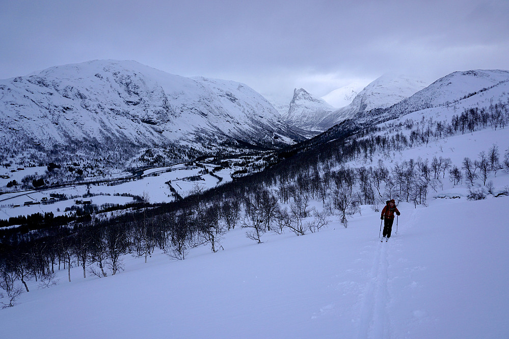 Fra stigningen opp mot Tronstadsetra. Fivelstadnibba i Norangsdalen i bakgrunnen