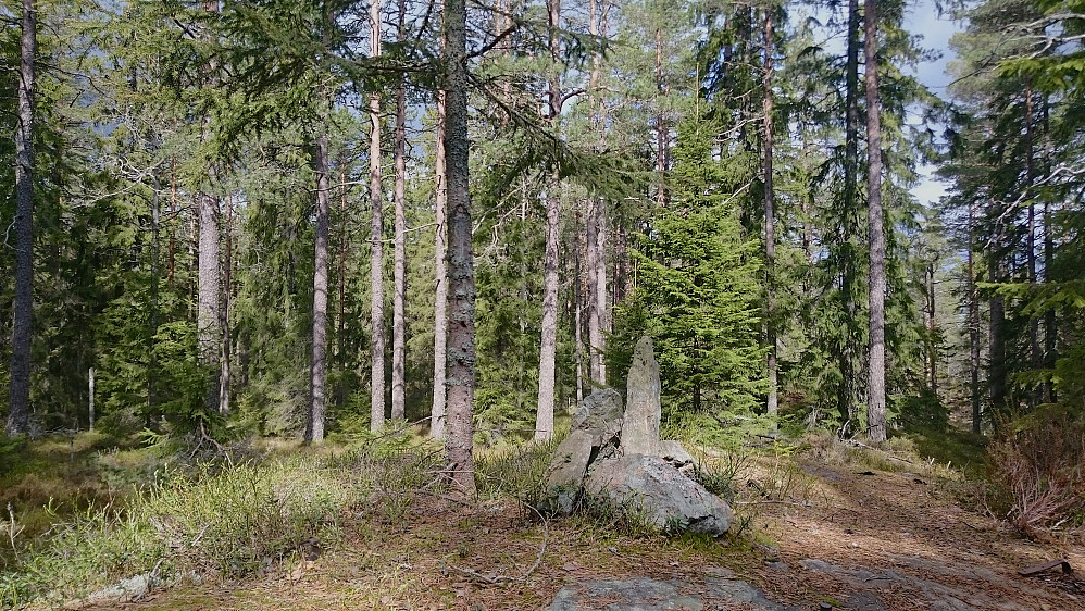 Toppunktet på Slavasshøgda, den høyeste toppen i Østfold