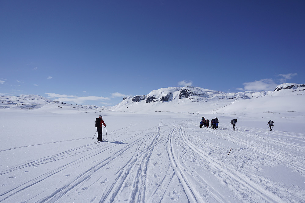 Fra Haukeliseter fjellstue, sett mot Kistenuten-massivet