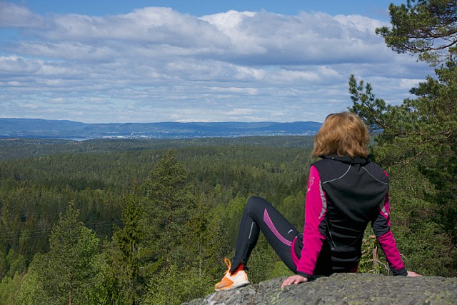 Utsikt i retning Oslo, med Norefjell lengst unna, midt på bildet