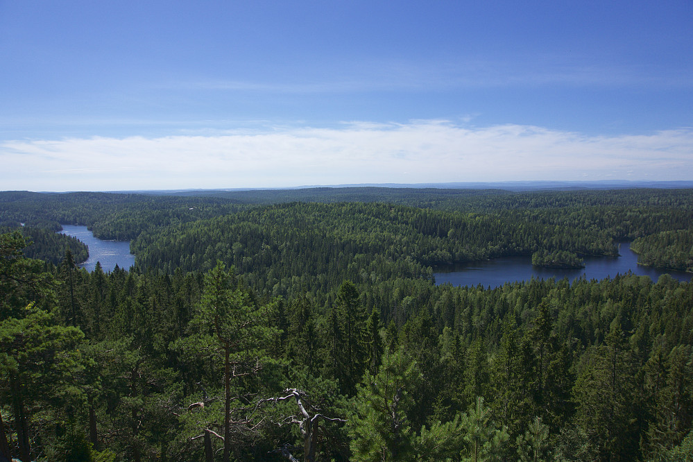 Utsikt fra Tonekollen mot Mosjøen, Vangen og Tonevann