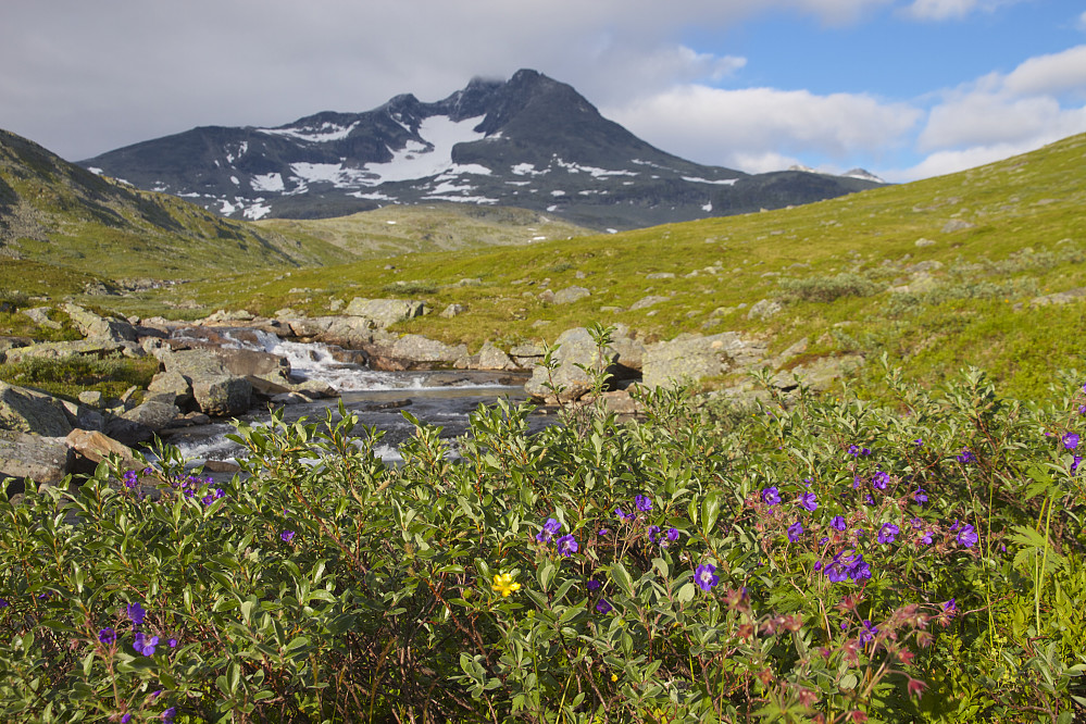 Austabottstindane sett fra Austabottselvi like etter elvepasseringen. Dagens turmål skimtes til høyre