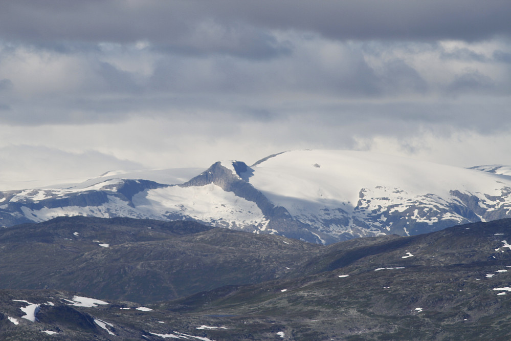Hesten og Såta i Leirdalen