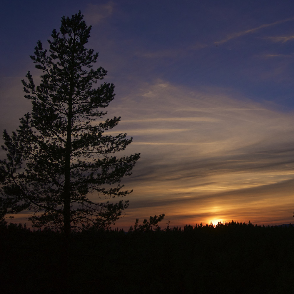 Flott solnedgang litt nord for Lyberga