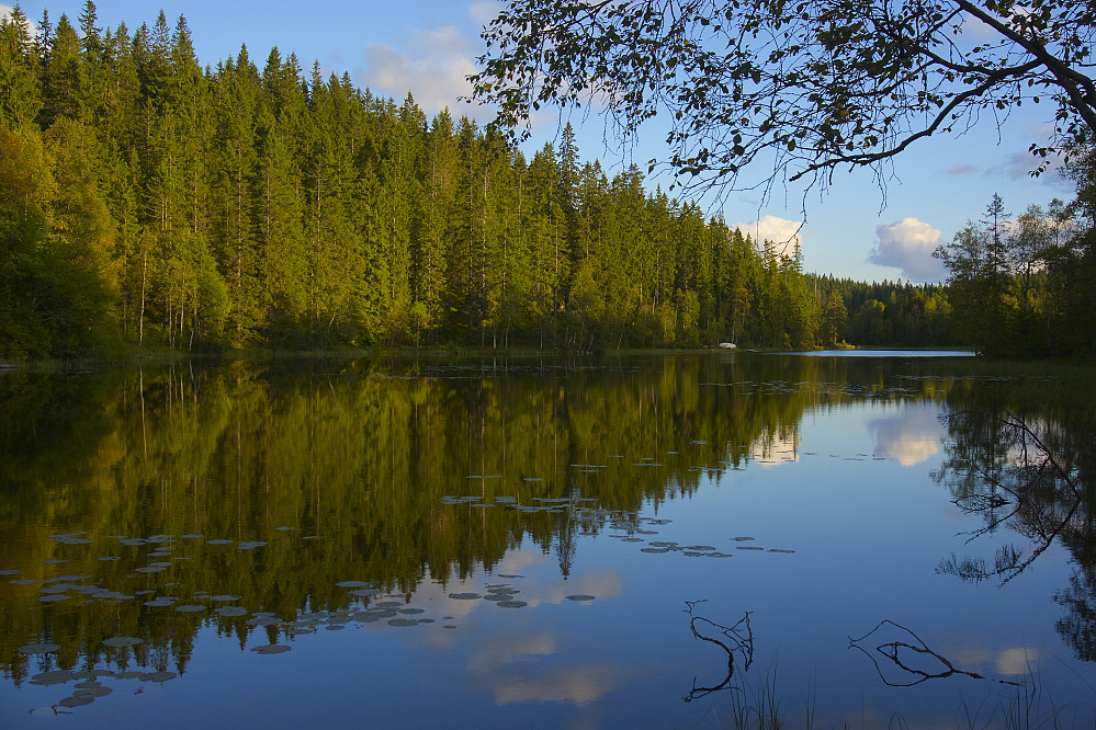Nordre Langvann sett fra den nordlige enden av vannet