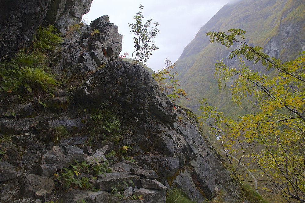 Et parti av stien Avdalsskåri, mellom Skåri og Avdalen. Vettisvegen sees nede til høyre