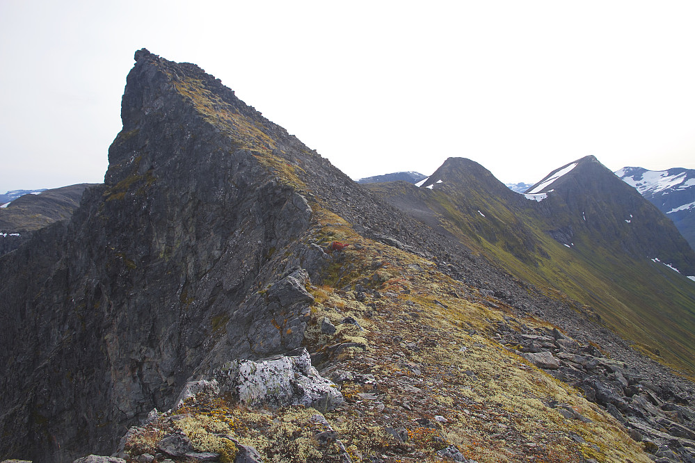 De tre neste toppene på turen; Svartetindane sør for, Vatnedalsegga nordøst og Vatnedalsegga
