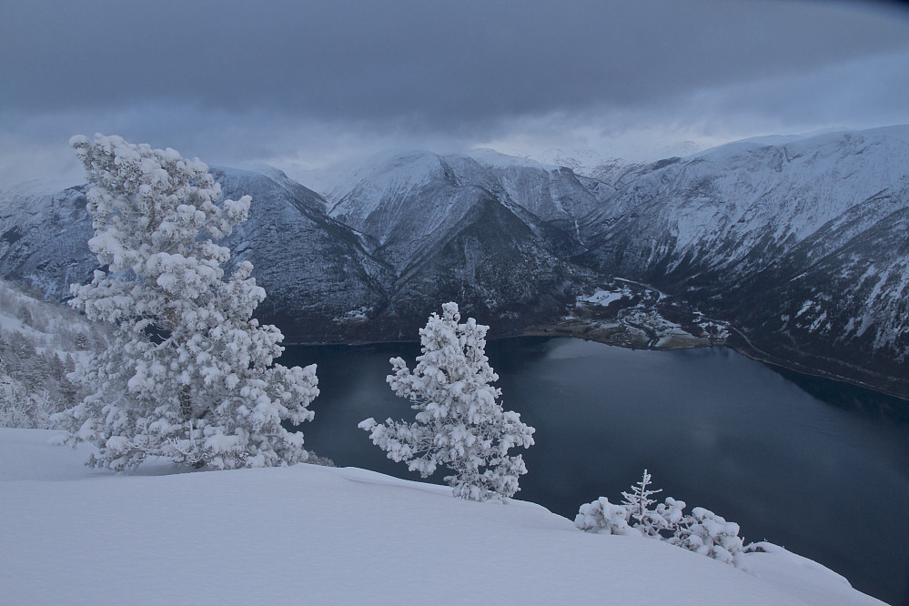 Utsikt til Naddvik og Årdalsfjorden