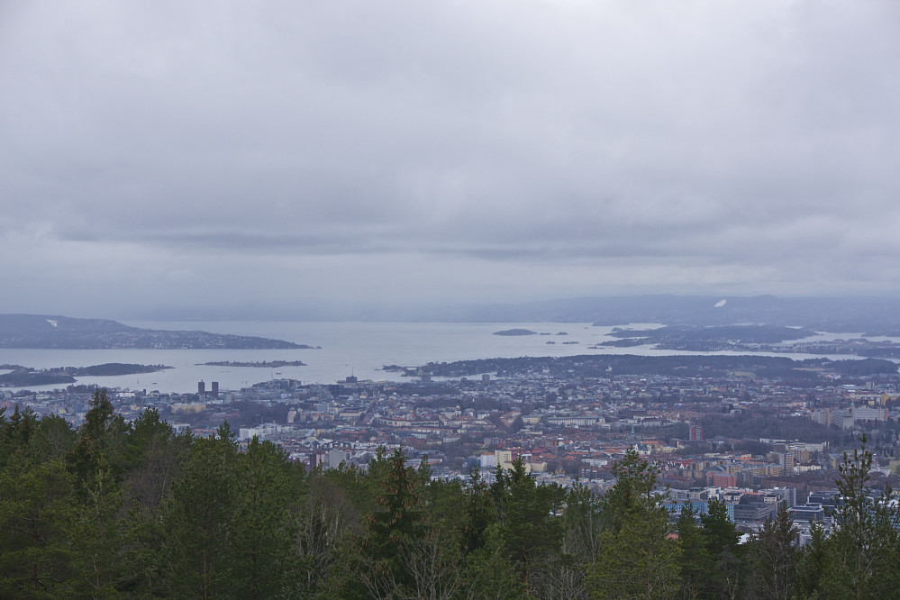 Oslo og Oslofjorden sett fra Grefsenkollen