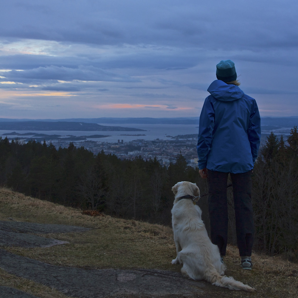 Utsikt fra Grefsenkollen
