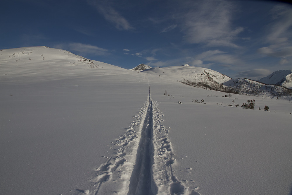 Flotte skispor fra Dregetua mot Storskaret, med Vardnakken til venstre