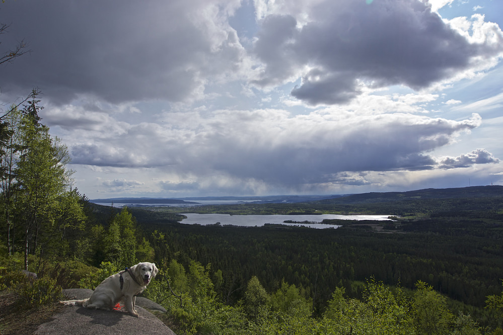 Klassisk utsikt fra Barlindåsen mot Maridalsvannet og Oslofjorden