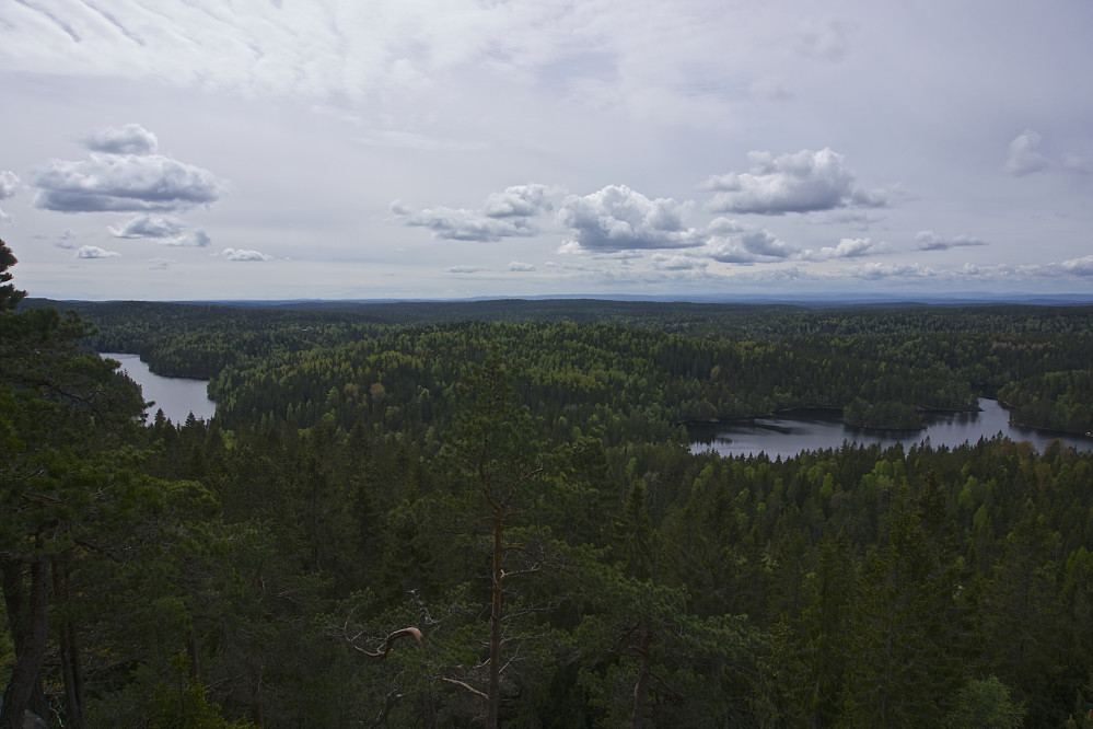 Utsikt fra Tonekollen mot bl.a. Mosjøen til venstre og Tonevann til høyre