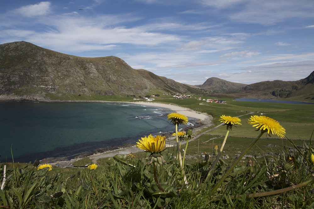 Ervik sett fra området nedenfor Hovden. Toppene til venstre er Nipa og Hushornet, og toppen til høyre er Kyrnosa