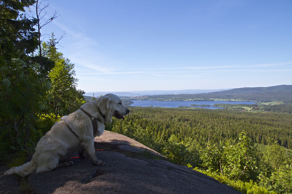 Fra Barlindåsen mot Maridalsvannet og Oslo