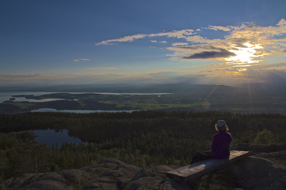 Utsikt fra Gyrihaugen mot Tyrifjorden