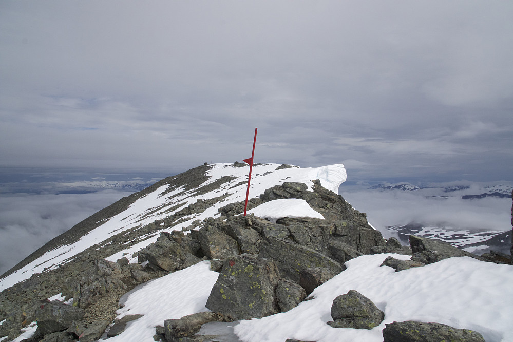Ryggen bortover mot varden