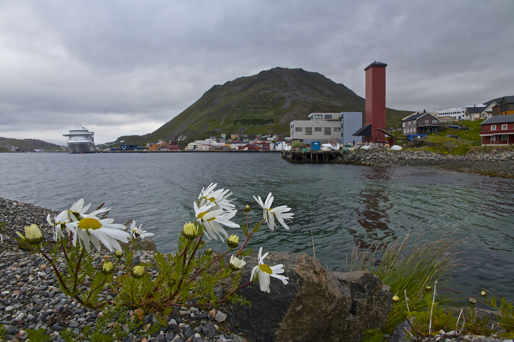 Henningsvær med toppen Storefjell rett fram