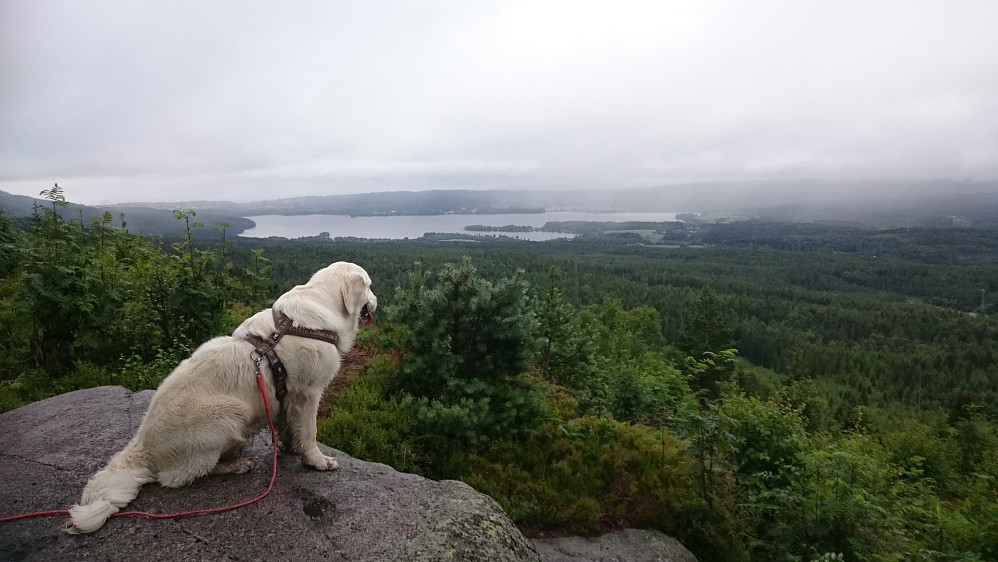 Utsikt over Maridalsvannet