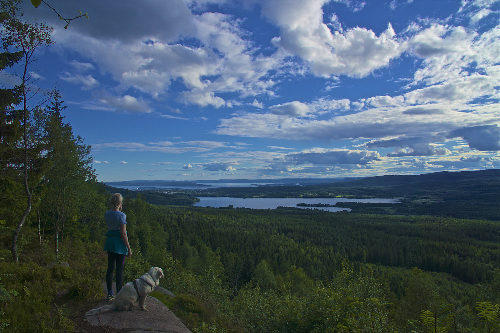 Utsikt fra Barlindåsen