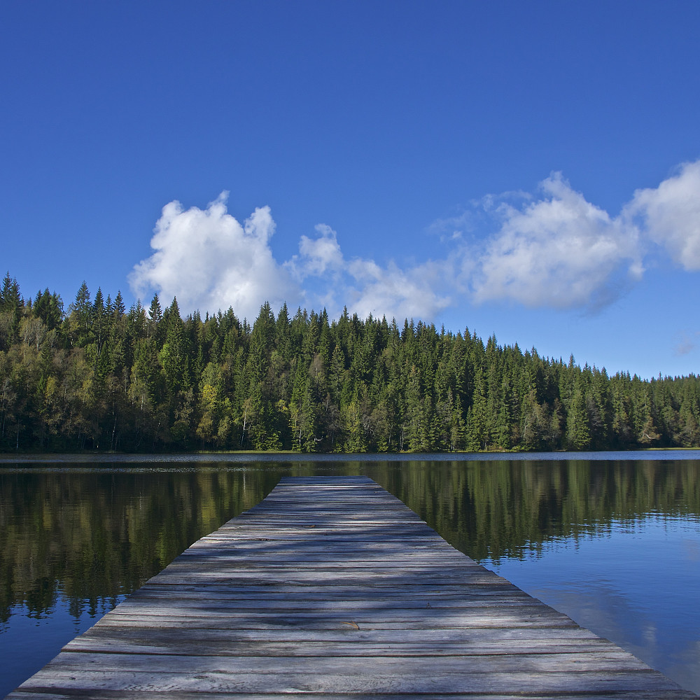 Idyllisk ved Fagervann