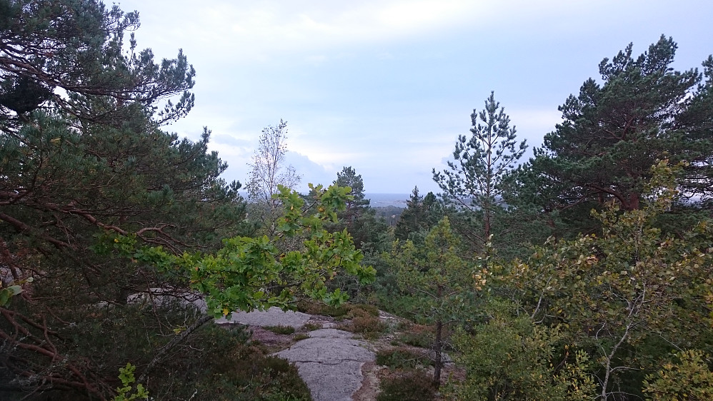 Toppunktet på Haugenåsen sør