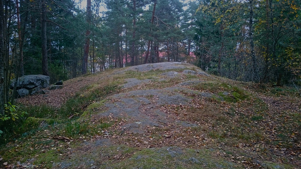 Toppunktet på Tallberget på Manglerud