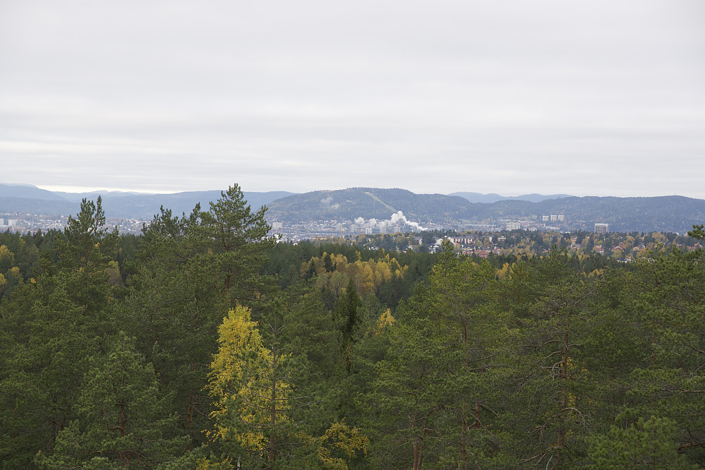 Utsikt fra St. Hansåsen mot bl.a. Grefsenkollen