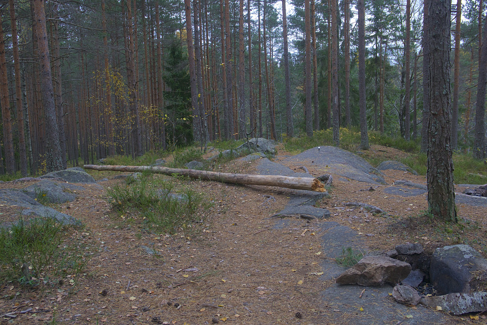 Langåsen
