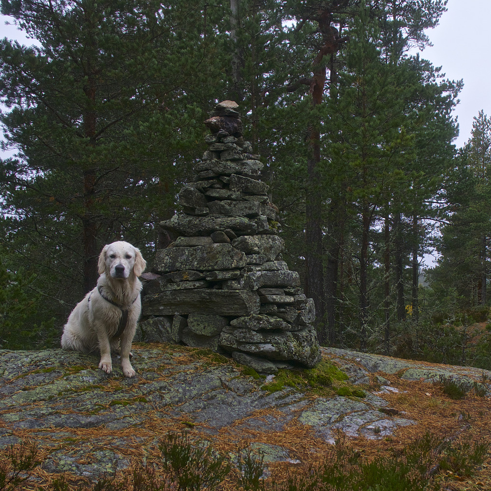 Luna og varden på Spinneren