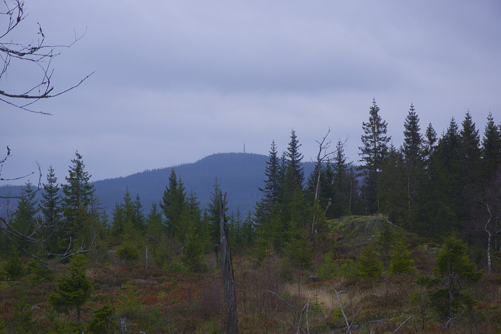 Varingskollen sett fra Laskerudåsen