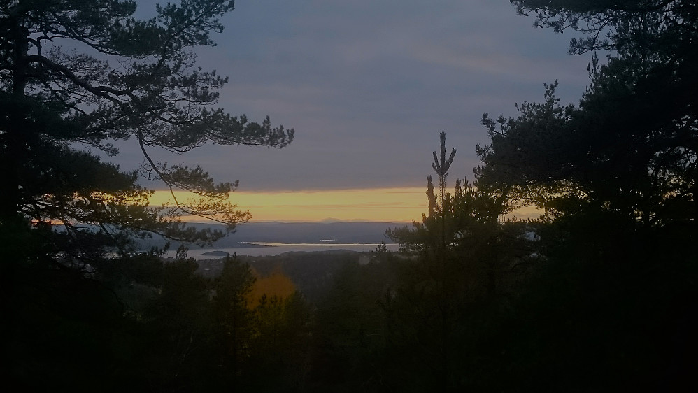 Utsikt fra Korpåsen mot Oslofjorden