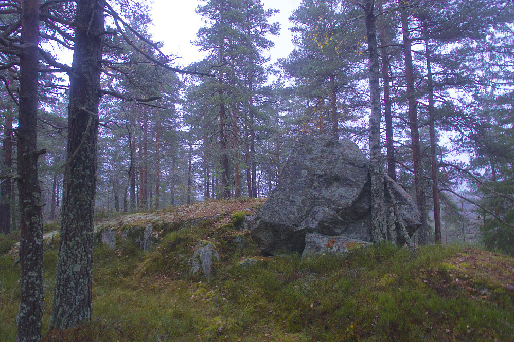 Toppunktet på Smalvannsåsen