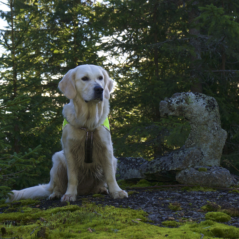 Luna og varden på Nordre Otertjernåsen, som var dagens høyeste topp