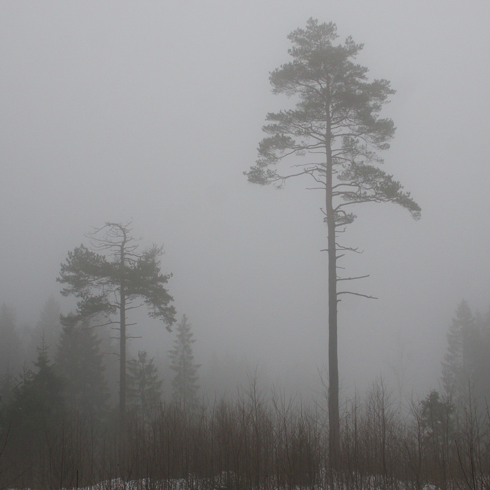 Grått og dårlig utsikt fra Årvollåsen