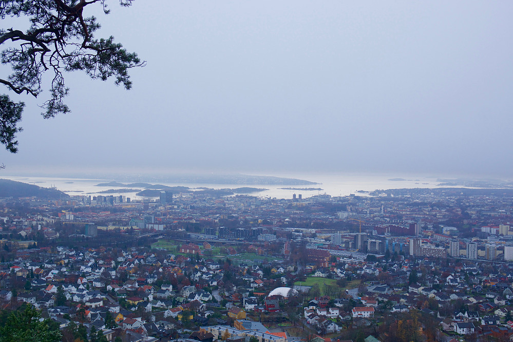 Utsikt mot Oslo fra Grefsenåsen