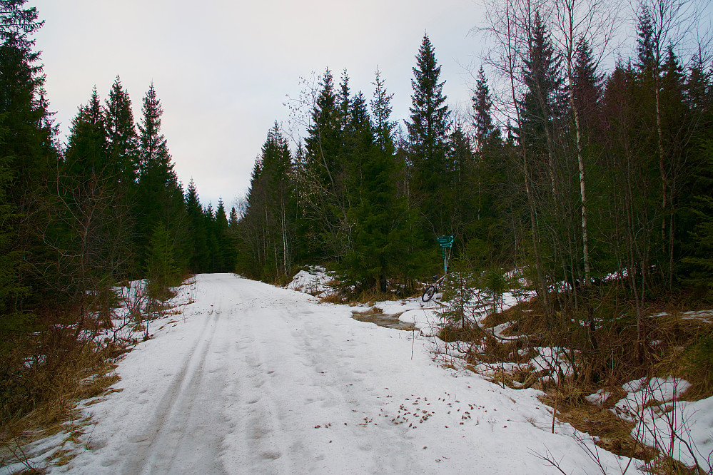 Veien mellom Finntjern og Holmetjern