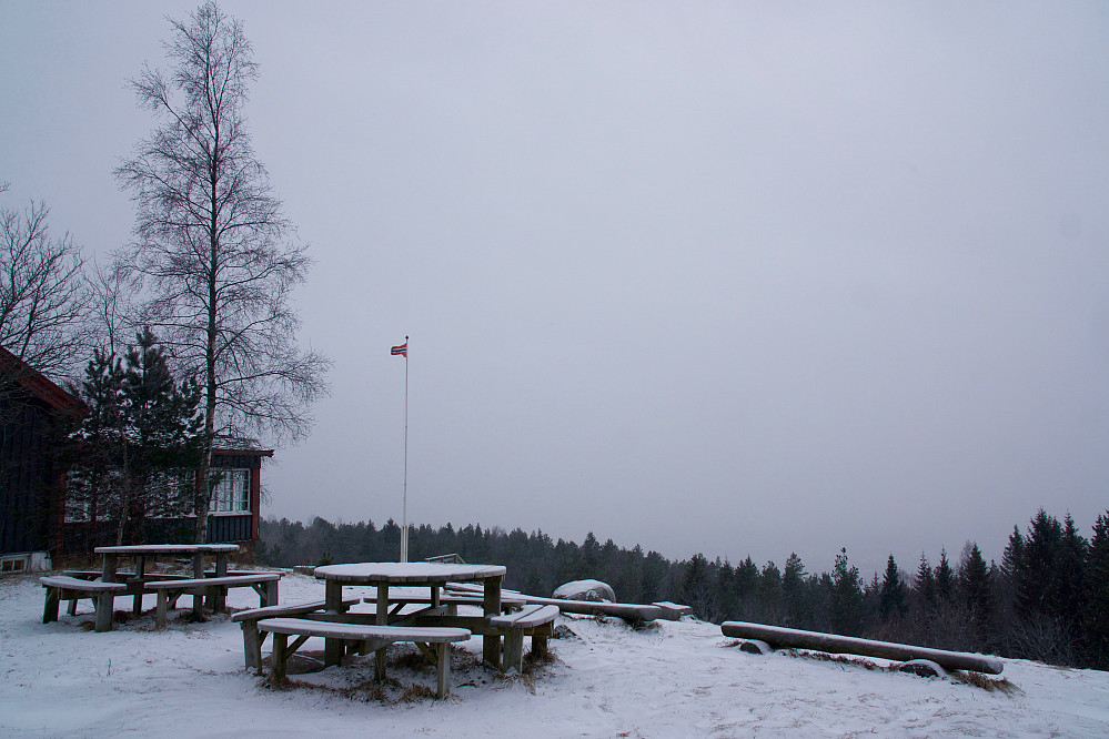 Utsikt fra Grefsenkollen