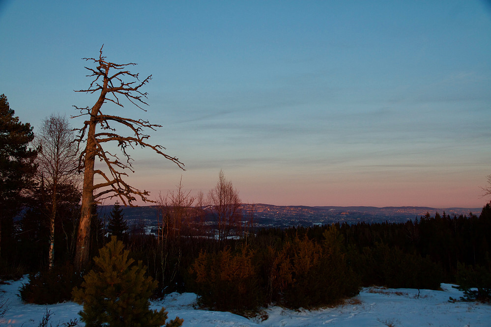Utsikt mot vest, sett fra Djupdalsåsen