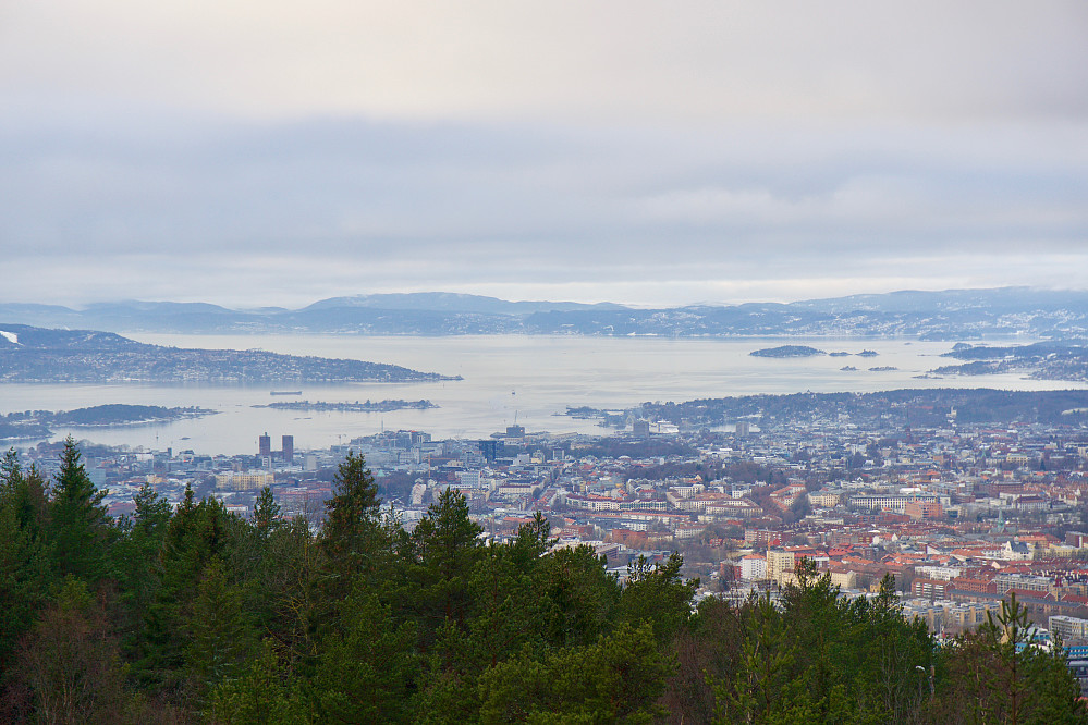 Utsikt over Oslo sett fra Grefsenkollen