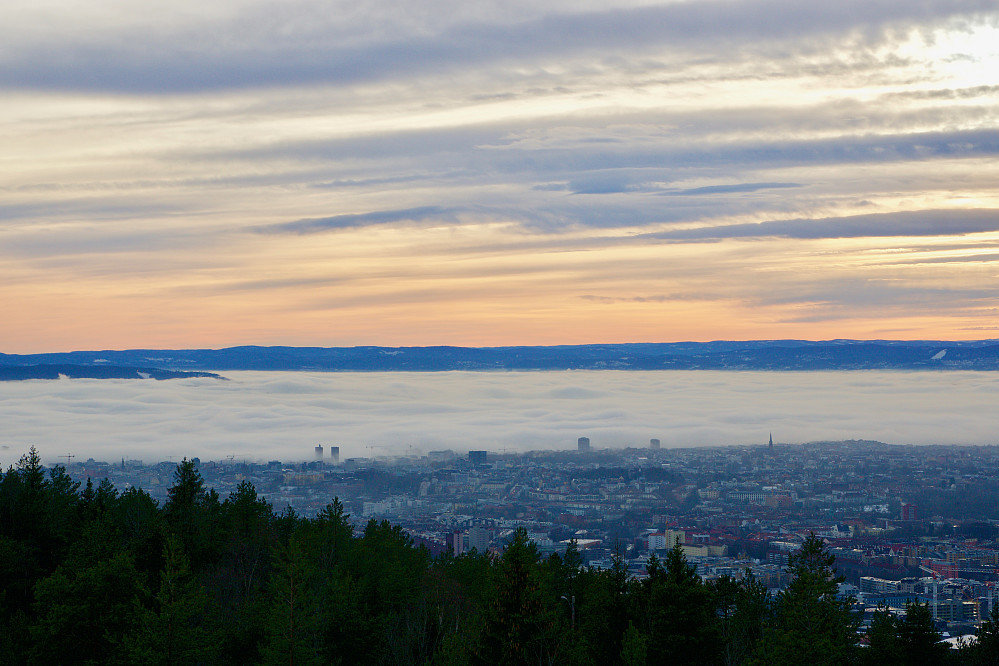 Utsikt fra Grefsenkollen mot Oslo