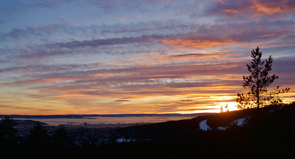 Oslofjorden og Grefsenkleiva sett fra Årvollåsen