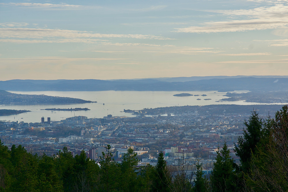 Utsikt fra Grefsenkollen